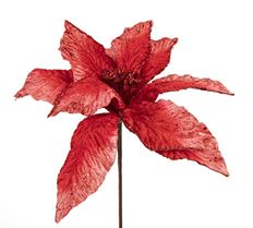 POINSETTIA PEPPERMINT 15" RED/WHT