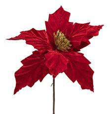 POINSETTIA VELVET 18"L 11"D CRAN