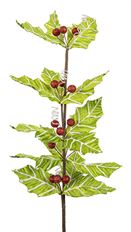 HOLLY GLITTER SPRAY 24" GR/R/WH