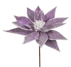 POINSETTIA SNOW FROSTED 22" LAV