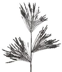 LONG NEEDLE PINE 32" BLACK