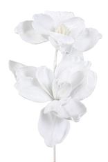 MAGNOLIA VELVET 24" X2 WHT
