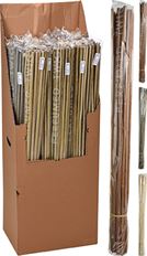 SCENTED TWIGS PACK 20 4 ASST