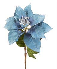 POINSETTIA ICELANDIC 24" BLUE