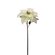 POINSETTIA 29" WHITE