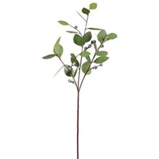 EUCALYPTUS SEEDED HEART 28" GRN
