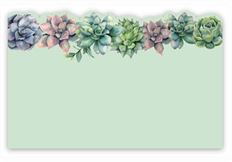 CARD SUCCULENTS NO SENTIMENT 50/PKG