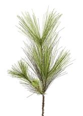 PINE PICK 16" CANTON X4 GREEN