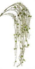 SUCCULENT WEEPING 54" GREEN