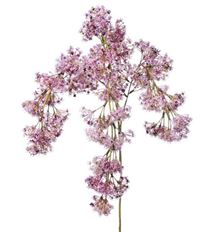 LAUREL WEEPING 30" PINK