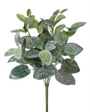 FITTONIA UV X12 17" GREEN/WH