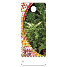CARE TAGS GREEN PLANT 100PK