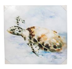 CANVAS SEA TURTLE