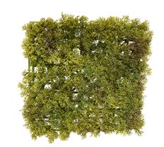 MOSS MAT 1" SQUARE TT GREEN