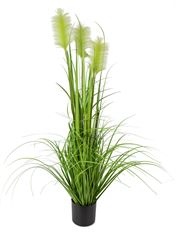 GRASS PLUME POTTED 4' LIGHT GREEN