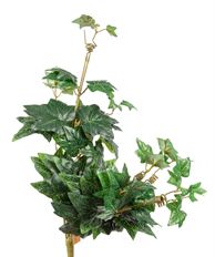 IVY BUSH CHARLESTON 24" GREEN