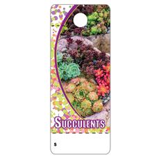 CARE TAGS SUCCULENTS 100PK