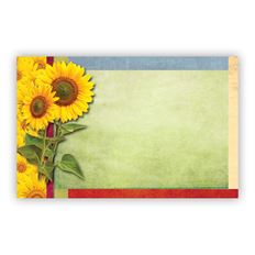 CARD SUNFLOWERS NO SENTIMENT 50/PKG