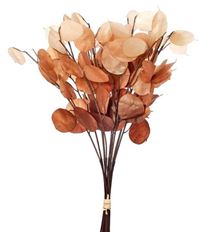 LUNARIA AUTUMN 17" BU CRANBERRY