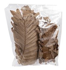 FERN LEAVES 8-12" PKG/20 NATURAL