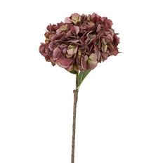 HYDRANGEA MOPHEAD 25" RED/GREEN