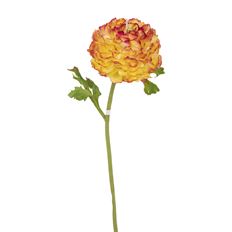RANUNCULUS 15" GOLD/YELLOW