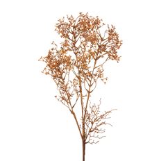 BRANCH AUTUMN 44" BROWN