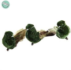 FEATHER BIRD W/ CLIP 6" 3/SET