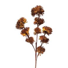 BRANCH DECO 110CM BROWN