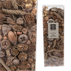 EXOTIC POD MIX CHAMPAGNE