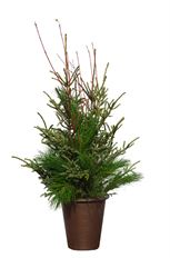 PLANTER OUTDOOR WINTER