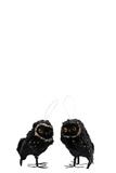 OWL 10.5CM BLACK