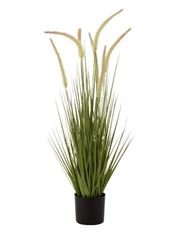 GRASS POTTED 90X25CM GREEN