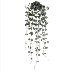 SWEETHEART BUSH 27.5" GREEN