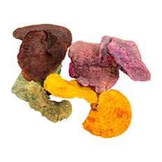 MUSHROOM DRIED 3-4" ASST COLOR