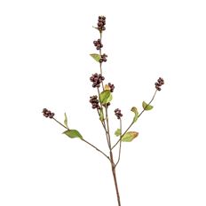 SNOWBERRY SPRAY MED GUNMETAL