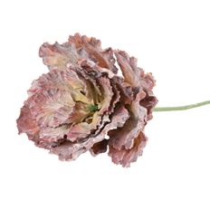 CABBAGE 18X9.5" BURGUNDY