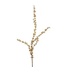 BERRY GOLDEN ILEX 29 WR