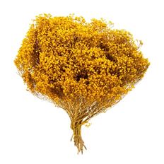 BLOOM BROOM YELLOW 4.5 OZ