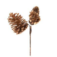 PINECONE GOLD GLITTER PICK X3 11"