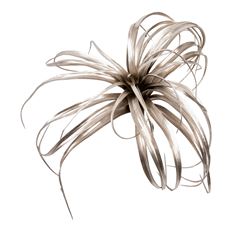 PLANT 10" METALIC TILLANDSIA PLATIN