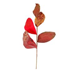 MAGNOLIA LEAF SPRAY 21" RD/GD