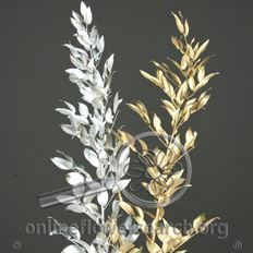 ITALIAN RUSCUS METALLIC