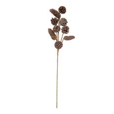 MIXED CONE SPRAY 25" NATURAL