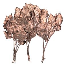 SALAL ROSE GOLDLEAF 10/BU