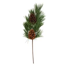 SPRAY PINE NEEDLE W/CONE