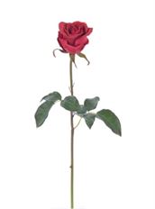 ROSE BUD NT 20.5" RED