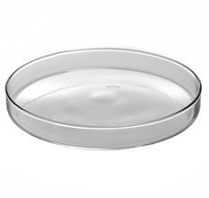 RENOIR BASE 7.75X1" CLR