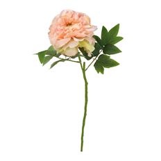 PEONY 6'X23.5" STEM