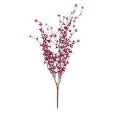 PLUM CROSS BUSH 22" PINK